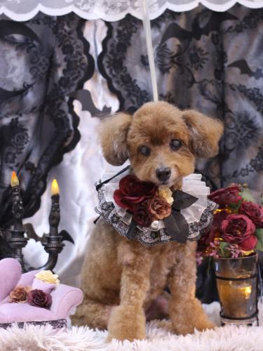 20231022颯太くん